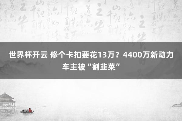 世界杯开云 修个卡扣要花13万？4400万新动力车主被“割韭菜”