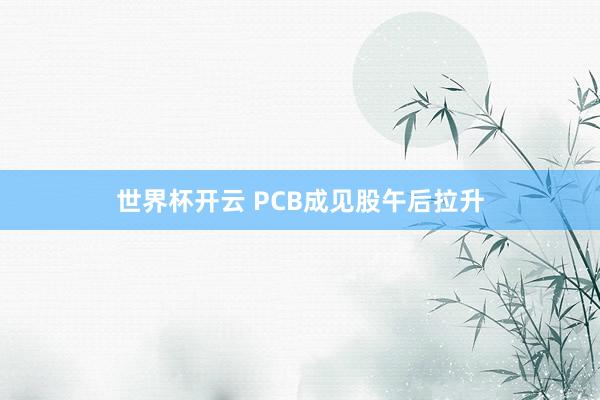 世界杯开云 PCB成见股午后拉升
