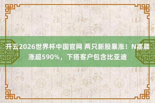 开云2026世界杯中国官网 两只新股暴涨！N嘉晨涨超590%，下搭客户包含比亚迪