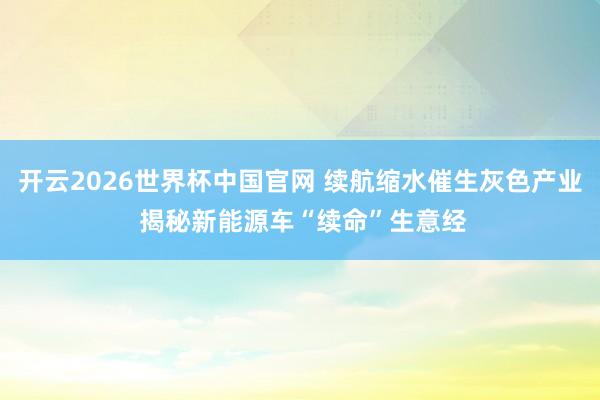 开云2026世界杯中国官网 续航缩水催生灰色产业 揭秘新能源车“续命”生意经
