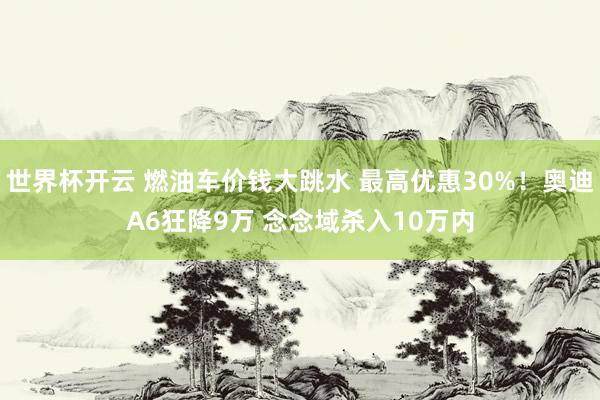 世界杯开云 燃油车价钱大跳水 最高优惠30%！奥迪A6狂降9万 念念域杀入10万内