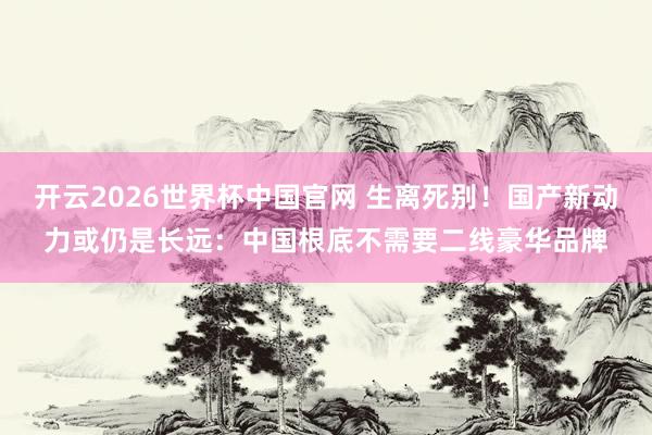 开云2026世界杯中国官网 生离死别！国产新动力或仍是长远：中国根底不需要二线豪华品牌