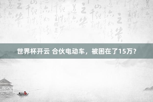 世界杯开云 合伙电动车，被困在了15万？