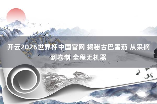 开云2026世界杯中国官网 揭秘古巴雪茄 从采摘到卷制 全程无机器