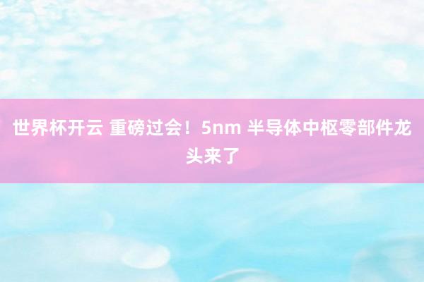 世界杯开云 重磅过会！5nm 半导体中枢零部件龙头来了