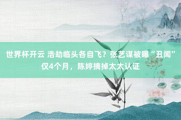 世界杯开云 浩劫临头各自飞？张艺谋被曝“丑闻”仅4个月，陈婷摘掉太太认证