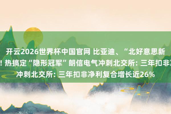 开云2026世界杯中国官网 比亚迪、“北好意思新动力车企”王人选它! 热搞定“隐形冠军”朗信电气冲刺北交所: 三年扣非净利复合增长近26%