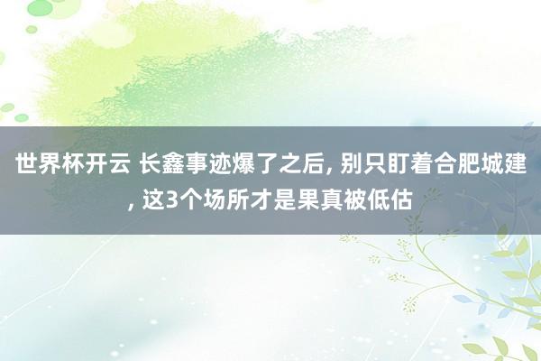 世界杯开云 长鑫事迹爆了之后， 别只盯着合肥城建， 这3个场所才是果真被低估