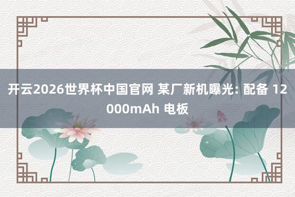 开云2026世界杯中国官网 某厂新机曝光: 配备 12000mAh 电板