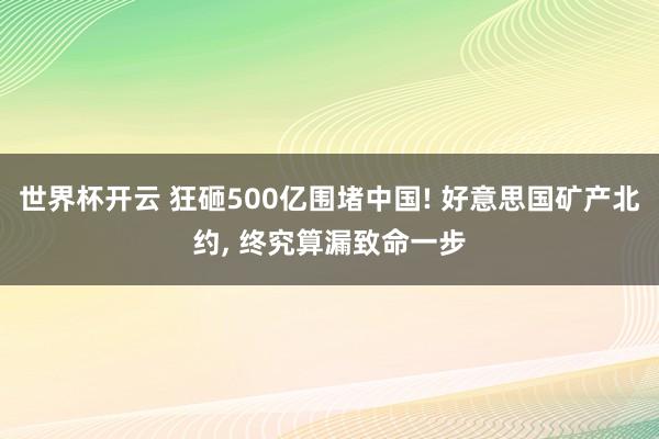 世界杯开云 狂砸500亿围堵中国! 好意思国矿产北约， 终究算漏致命一步