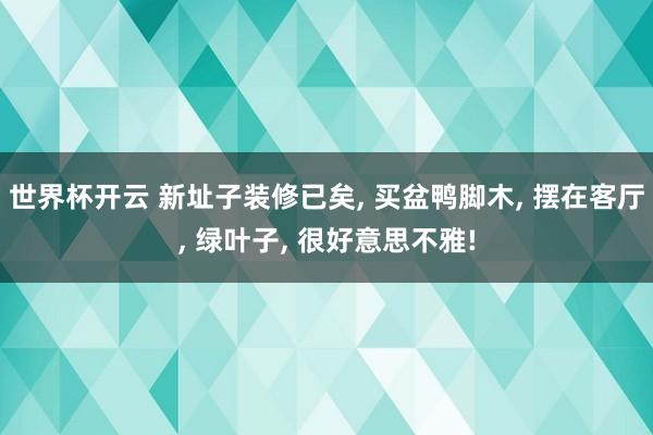 世界杯开云 新址子装修已矣， 买盆鸭脚木， 摆在客厅， 绿叶子， 很好意思不雅!
