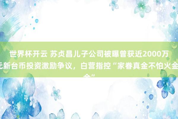 世界杯开云 苏贞昌儿子公司被曝曾获近2000万元新台币投资激励争议，白营指控“家眷真金不怕火金”
