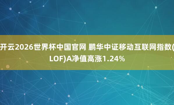 开云2026世界杯中国官网 鹏华中证移动互联网指数(LOF)A净值高涨1.24%