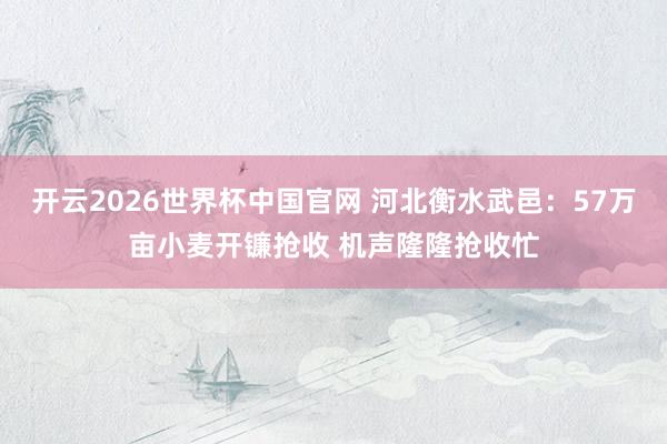 开云2026世界杯中国官网 河北衡水武邑:57万亩小麦开镰抢收 机声隆隆抢收忙