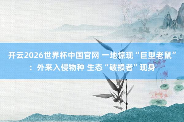 开云2026世界杯中国官网 一地惊现“巨型老鼠”：外来入侵物种 生态“破损者”现身