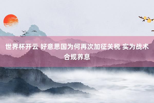 世界杯开云 好意思国为何再次加征关税 实为战术合规养息