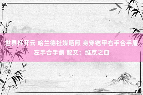 世界杯开云 哈兰德社媒晒照 身穿铠甲右手合手盾左手合手剑 配文：维京之血