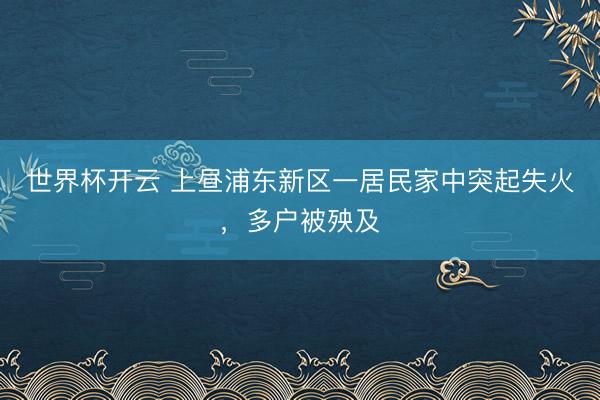 世界杯开云 上昼浦东新区一居民家中突起失火,多户被殃及