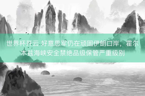 世界杯开云 好意思军仍在顽固伊朗口岸，霍尔木兹海峡安全禁绝品级保管严重级别