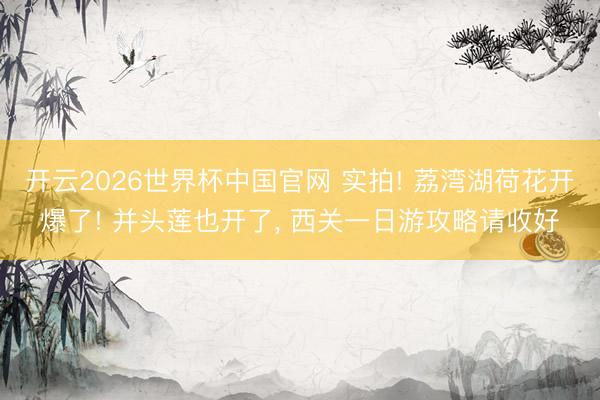 开云2026世界杯中国官网 实拍! 荔湾湖荷花开爆了! 并头莲也开了, 西关一日游攻略请收好