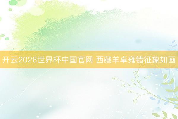 开云2026世界杯中国官网 西藏羊卓雍错征象如画