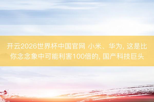 开云2026世界杯中国官网 小米、华为, 这是比你念念象中可能利害100倍的, 国产科技巨头